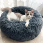 Dog Beds For Small Dogs Round Plush Cat Litter Kennel Pet Nest Mat Puppy Beds