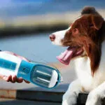Dog Water Cup Drinking Food Garbage Bag Three-in-one Portable Small Multi-functional Pet Cups Pets Supplies - Image 7
