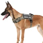Tactical Service Dog Harness With Handle, No-Pull Adjustable Reflective Pet Vest Harness For Easy Walking And Training - Image 9