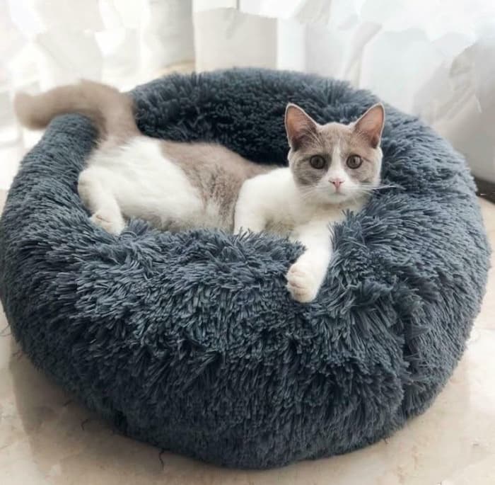 13692091898533.jpg Dog Beds For Small Dogs Round Plush Cat Litter Kennel Pet Nest Mat Puppy Beds - Image 1